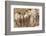 Bas-Relief on Arch of Titus Showing Menorah Taken from the Temple of Jerusalem-Stuart Black-Framed Photographic Print