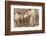 Bas-Relief on Arch of Titus Showing Menorah Taken from the Temple of Jerusalem-Stuart Black-Framed Photographic Print