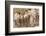 Bas-Relief on Arch of Titus Showing Menorah Taken from the Temple of Jerusalem-Stuart Black-Framed Photographic Print