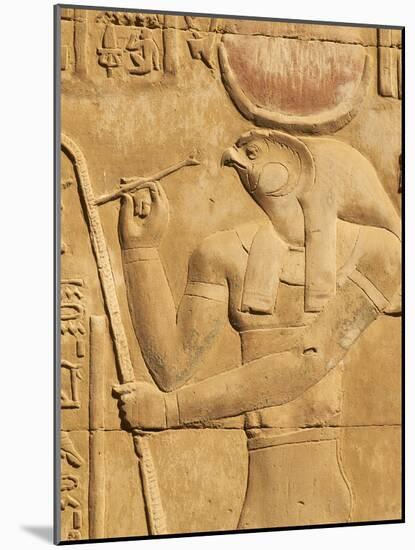 Bas Relief, Temple of Sobek and Haroeris, Kom Ombo, Egypt, North Africa, Africa-Tuul-Mounted Photographic Print