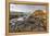 Basalt at the Giant's Causeway near in County Antrim, Northern, Ireland-Chuck Haney-Framed Premier Image Canvas