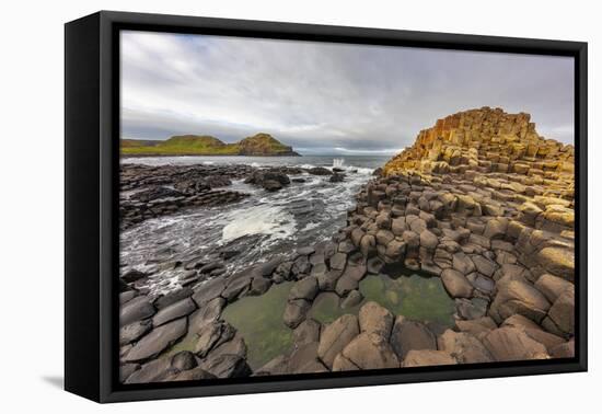 Basalt at the Giant's Causeway near in County Antrim, Northern, Ireland-Chuck Haney-Framed Premier Image Canvas