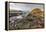 Basalt at the Giant's Causeway near in County Antrim, Northern, Ireland-Chuck Haney-Framed Premier Image Canvas