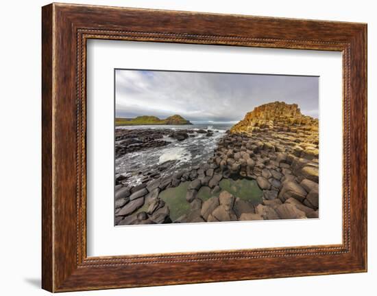 Basalt at the Giant's Causeway near in County Antrim, Northern, Ireland-Chuck Haney-Framed Photographic Print