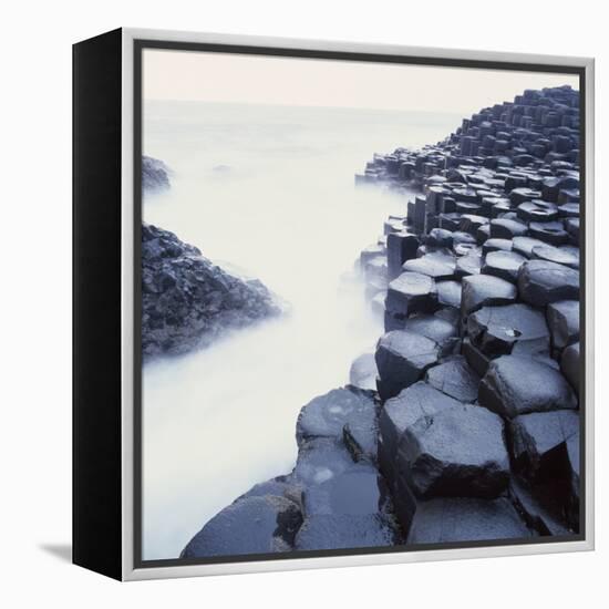 Basalt Columns on Coast-Micha Pawlitzki-Framed Premier Image Canvas