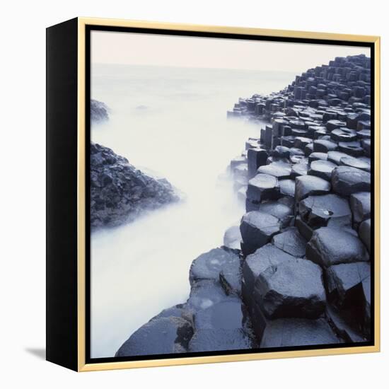 Basalt Columns on Coast-Micha Pawlitzki-Framed Premier Image Canvas