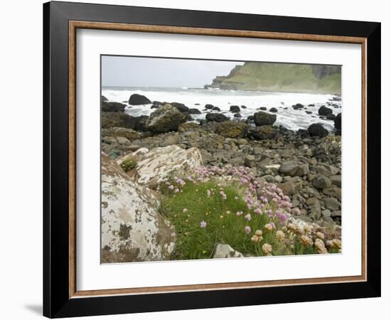 Basaltic Rock Formations, County Antrim, Northern Ireland-William Sutton-Framed Photographic Print