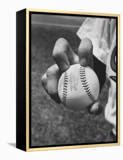 Basball-null-Framed Premier Image Canvas