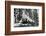 Base of the Grizzly Giant, C.1860s-Carleton Emmons Watkins-Framed Photographic Print