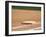 Baseball Base-Steven Sutton-Framed Photographic Print