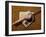 Baseball Bat with a Cap, and a Baseball on the Home Base-null-Framed Photographic Print