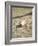 Baseball Bat-Chris Trotman-Framed Photographic Print