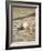 Baseball Bat-Chris Trotman-Framed Photographic Print