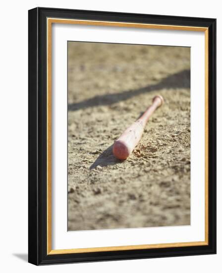 Baseball Bat-Chris Trotman-Framed Photographic Print