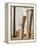 Baseball bats-Erik Isakson-Framed Premier Image Canvas