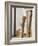 Baseball bats-Erik Isakson-Framed Photographic Print