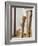 Baseball bats-Erik Isakson-Framed Photographic Print