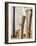 Baseball bats-Erik Isakson-Framed Photographic Print