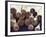 Baseball Bats-Paul Sutton-Framed Photographic Print