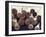 Baseball Bats-Paul Sutton-Framed Photographic Print