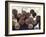 Baseball Bats-Paul Sutton-Framed Photographic Print