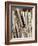 Baseball Bats-Paul Sutton-Framed Photographic Print