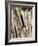 Baseball Bats-Paul Sutton-Framed Photographic Print