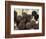 Baseball Bats-Paul Sutton-Framed Photographic Print