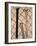 Baseball Bats-Chris Trotman-Framed Photographic Print