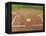 Baseball Field-Robert Michael-Framed Premier Image Canvas