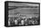 Baseball Game-Ansel Adams-Framed Stretched Canvas