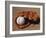 Baseball in Glove-Chris Trotman-Framed Photographic Print