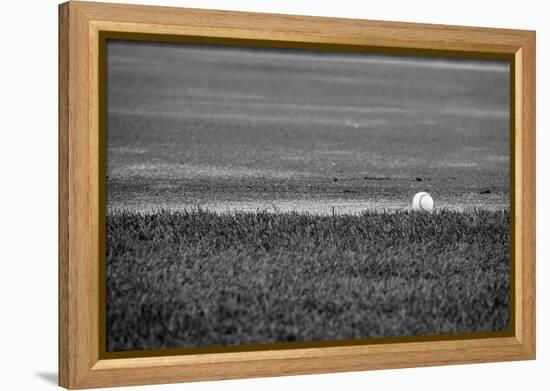 Baseball in the Field-null-Framed Stretched Canvas