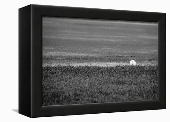 Baseball in the Field-null-Framed Stretched Canvas