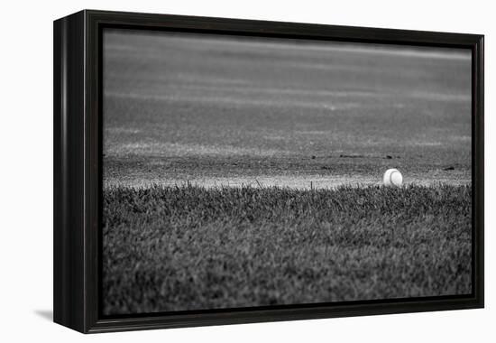 Baseball in the Field-null-Framed Stretched Canvas