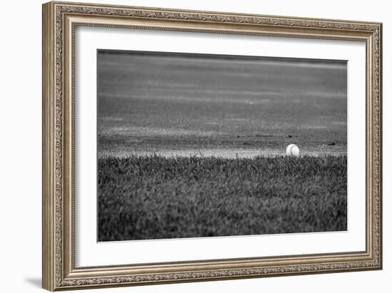 Baseball in the Field-null-Framed Photo