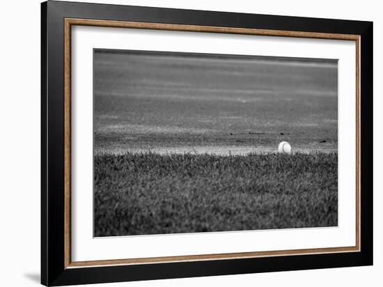 Baseball in the Field-null-Framed Photo