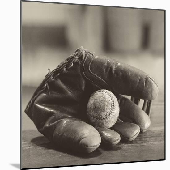 Baseball Nostalgia I-null-Mounted Photographic Print