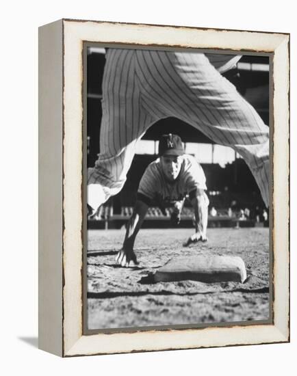 Baseball Player for Los Angeles Dodgers Maury Wills-Francis Miller-Framed Premier Image Canvas