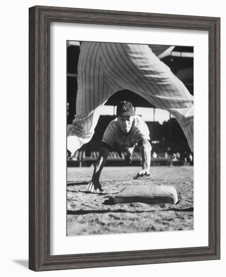 Baseball Player for Los Angeles Dodgers Maury Wills-Francis Miller-Framed Premium Photographic Print