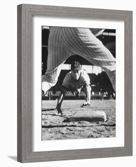 Baseball Player for Los Angeles Dodgers Maury Wills-Francis Miller-Framed Premium Photographic Print