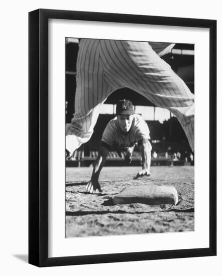 Baseball Player for Los Angeles Dodgers Maury Wills-Francis Miller-Framed Premium Photographic Print