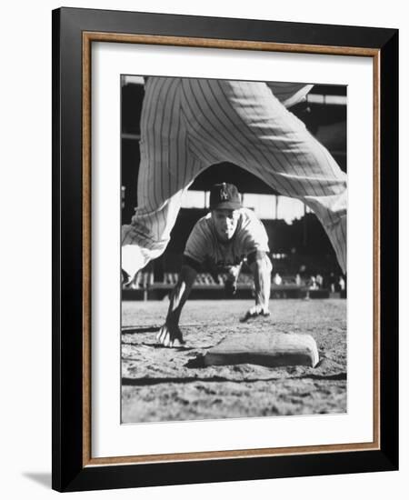 Baseball Player for Los Angeles Dodgers Maury Wills-Francis Miller-Framed Premium Photographic Print