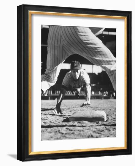 Baseball Player for Los Angeles Dodgers Maury Wills-Francis Miller-Framed Premium Photographic Print