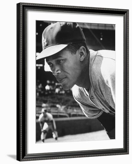 Baseball Player for Los Angeles Dodgers Maury Wills-Francis Miller-Framed Premium Photographic Print
