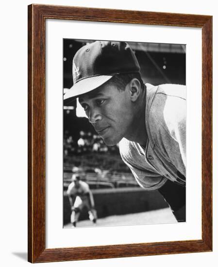 Baseball Player for Los Angeles Dodgers Maury Wills-Francis Miller-Framed Premium Photographic Print