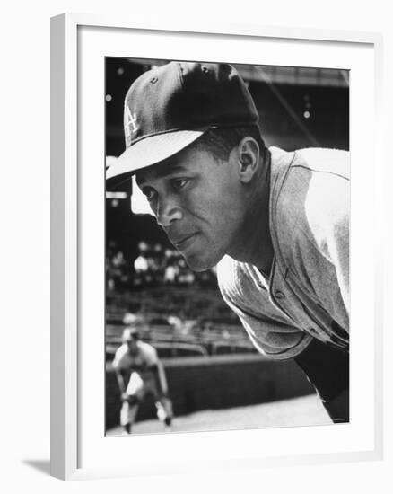 Baseball Player for Los Angeles Dodgers Maury Wills-Francis Miller-Framed Premium Photographic Print