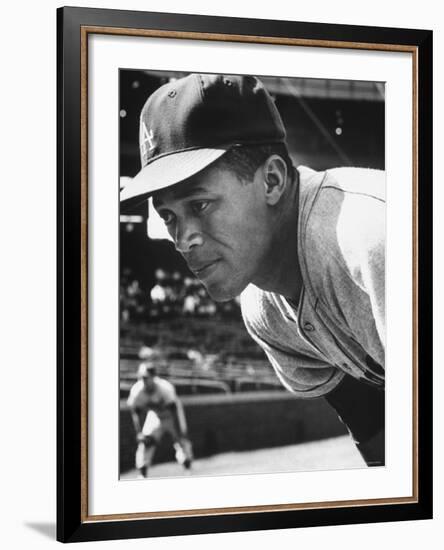 Baseball Player for Los Angeles Dodgers Maury Wills-Francis Miller-Framed Premium Photographic Print