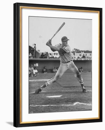 Baseball Player Frank Howard During Winter League Season-null-Framed Premium Photographic Print