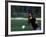 Baseball Player Hitting the Ball-Bill Bachmann-Framed Photographic Print